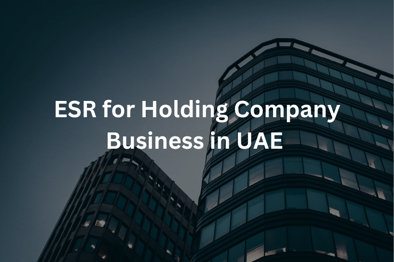 Economic Substance for a Holding Company in UAE