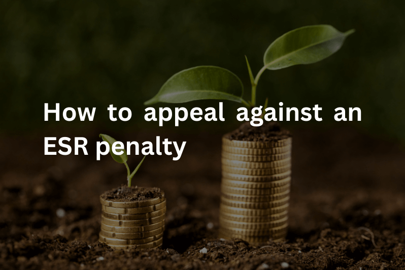 Types of ESR penalties and How to appeal against an ESR penalty