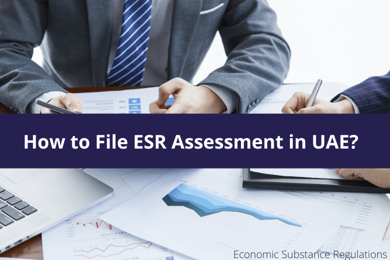 How to File ESR Assessment in UAE