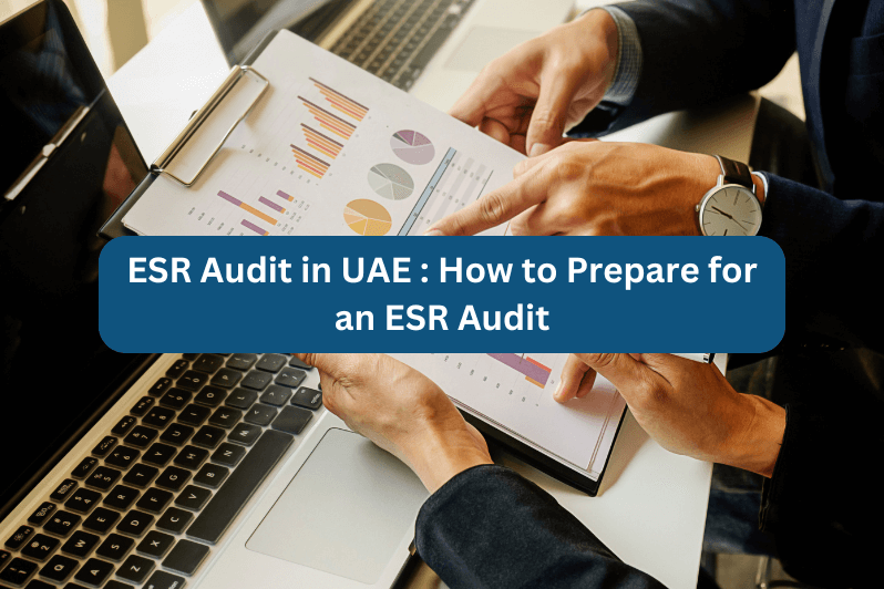 ESR Audit in UAE