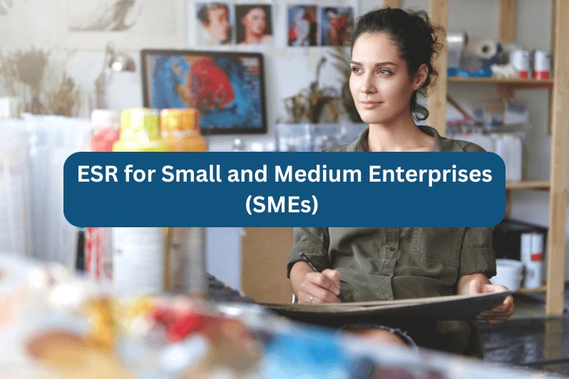 ESR for Small and Medium Enterprises (SMEs)